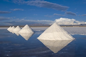 Bolivian Prints: Salt cones, Salar de Uyuni, Potosi, Bolivia, South America
