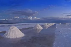 Images Dated 27th March 2010: Salt cones, Salar de Uyuni, Potosi, Bolivia, South America