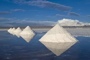 Images Dated 28th March 2010: Salt cones, Salar de Uyuni, Potosi, Bolivia, South America