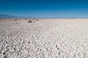 Images Dated 17th June 2010: Salt crust, Salar de Atacama, Atacama Desert, Chile, South America