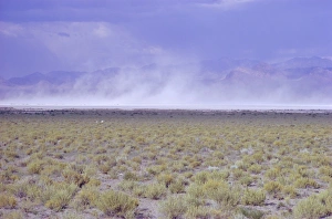 Plain Prints: Salt Flats