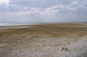 Overcast Sky Prints: Salt flats, Abyata (Abiyata) Lake, Rift Valley, Ethiopia, Africa
