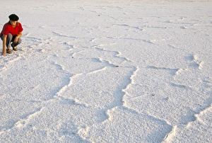 Seasoning Prints: Salt flats beside Lac Assal in rift valley 152m below sea level, Afar Triangle