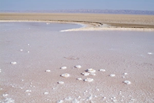 Arid Landscape Prints: Salt Lake, Chott el Jerid