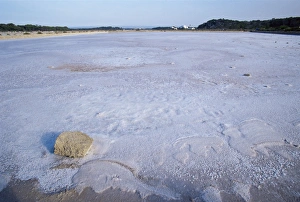 Unadorned Prints: Salt lake at Ses Salines