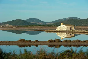 Lakes Prints: Salt lake, Ses Salines natural park, Ibiza, Balearic Islands, Spain, Mediterranean, Europe