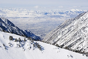Alta Prints: Salt Lake Valley and fresh powder tracks at Alta