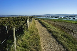 Marshes Prints: Salt marsh and the Hampshire coast, Hurst Spit, Keyhaven, Hampshire, England