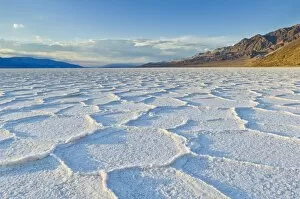 Images Dated 4th October 2010: Salt pan polygons at Badwater Basin, 282ft below sea level and the lowest place in North America