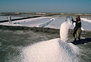 Salt pans, Kutch district