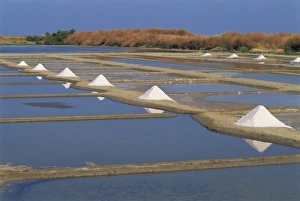 Ile De Re Prints: Salt pans in marshes, Ile de Re (Island of Re), Poitou Charentes, France, Europe