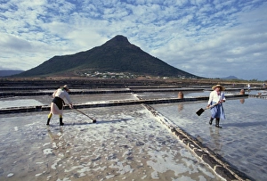 Salt Pans Prints: Salt pans, Mauritius, Indian Ocean, Africa