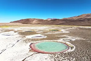 Ponds Prints: Salt ponds, Ojos del Campo, Salar de Antofalla, Puna, Catamarca, Argentina
