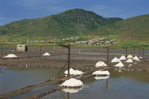 West Sea Prints: Salt ponds beside West Sea, Nampo, North Korea, Asia