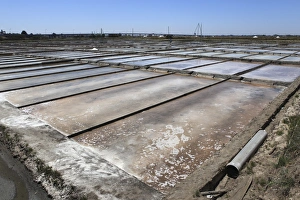 Salt Pan Prints: Salt is produced by evaporation under the sun in the salt pans of Aveiro