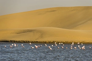 Namibian Prints: Saltwater pool with flamingos near Walvis Bay, Namibia, Africa