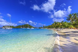 Windward Islands Prints: Saltwhistle Bay, white sand beach, turquoise sea, yachts, palm trees, Mayreau, Grenadines