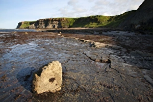 Saltwick Bay Prints: Saltwick Bay near Whitby, North Yorkshire, Yorkshire, England, United Kingdom, Europe