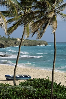 Barbadian Prints: Sam Lords Castle, palms and beach, Barbados, West Indies, Caribbean, Central America