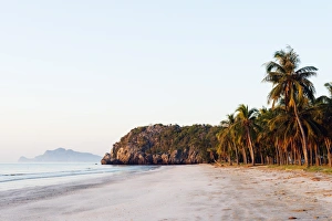 Arecaceae Prints: Sam Phraya Beach, Khao San Roi Yot National Park