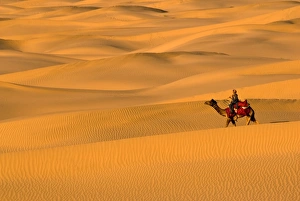 Images Dated 13th March 2008: Sam Sand Dunes, Rajasthan, India, Asia