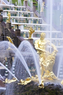 Gilded Prints: Samson fountain, Peterhof Grand Cascade, Petrodvorets, St. Petersburg, Russia, Europe