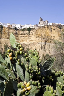 Images Dated 22nd July 2008: San Pedro cathedral, Arcos de la Frontera, one of the white villages, Andalucia