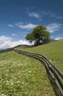 San Pietro, Funes Valley (Villnoss), Dolomites, Trentino Alto Adige, South Tyrol