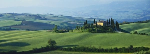 Siena Prints: San Quirico D Orcia, Siena, Tuscany, Italy