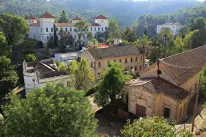 Shrubs Prints: Sanatorio de San Francisco de Borja