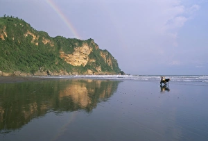 Illusion Prints: Sanctuary of Ratu Kidul (queen of the seas of the south)