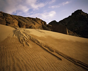 Algerian Prints: A sand avalanche after a rainstorm in the Sahara Desert, Algeria, North Africa, Africa