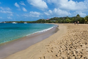 Windward Islands Prints: Sand beach of Salt Whistle Bay