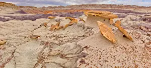Sand Castle formations on the edge of the Red Basin in Petrified Forest National Park
