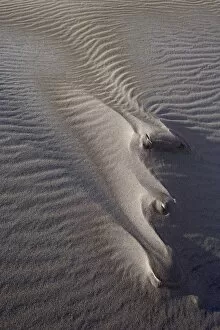 Sand dune formations with frost, Great Sand Dunes National Park and Preserve