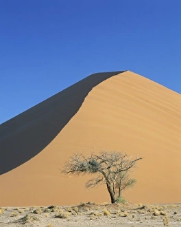 Sand dune near Sesriem, Namib Naukluft Park, Namibia, Africa