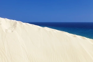 Absence Prints: Sand dune, Risco del Paso, Playa de Sotavento