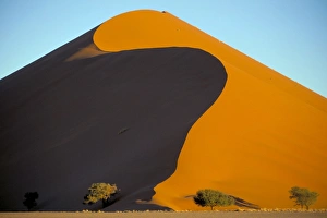 Shades Prints: Sand dune, Sossusvlei dune field