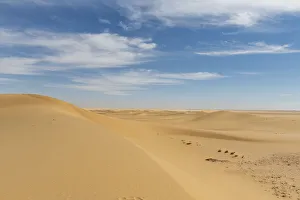 Sand dune in the Tenere Desert, Sahara, Niger, Africa