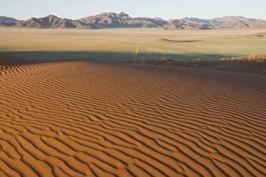 Images Dated 11th March 2008: Sand dune, Wolvedans, Namib Rand Nature Reserve, Namibia, Africa