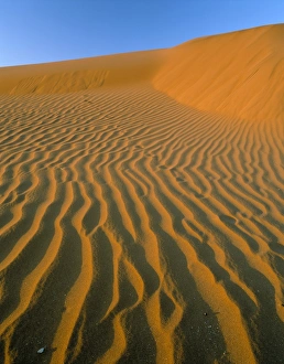 Sand dunes