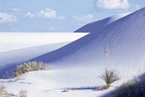 Sand dunes