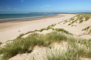 Dunes Prints: Sand dunes and beach, Camber Sands, Camber, near Rye, East Sussex, England, United Kingdom