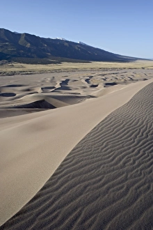 Arid Landscape Prints: Sand dunes at dawn