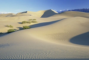 Images Dated 6th February 2008: Sand dunes, Death Valley National Monument, California, United States of America