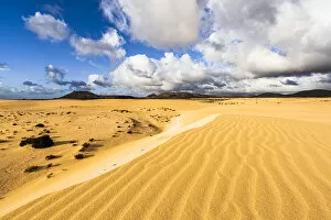 Rippled Gallery: Sand dunes of desert lit by the bright sun, Corralejo Natural Park, Fuerteventura, Canary Islands