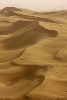 Images Dated 22nd February 2008: Sand dunes, Dubai, United Arab Emirates, Middle East