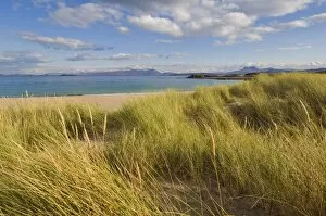 Images Dated 23rd October 2009: Sand dunes and dune grasses of Mellon Udrigle beach, Wester Ross, north west Scotland