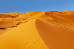 Moroccan Culture Gallery: Sand Dunes, Erg Chebbi, Sahara Desert, Southern Morocco, Morocco, North Africa, Africa