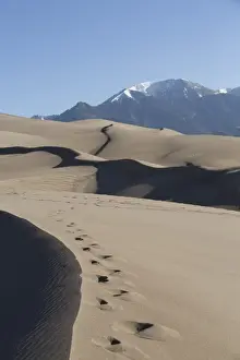 Absence Prints: Sand dunes in the Great Sand Dunes National Park and Preserve